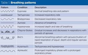 respiratory rate 4 breathing rhythm and chest movement