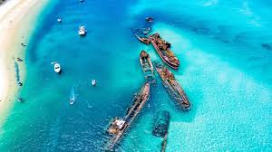 Dolphin And Tangalooma Wrecks Cruise (See Moreton) – Getpass