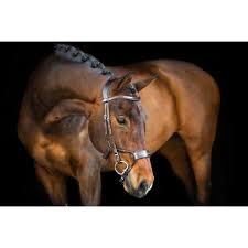 1 source for hot moms, cougars, grannies, gilf, milfs and more. Ps Of Sweden Trense High Jump Braun Cob 2 Horse Shop Landenhausen