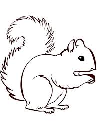 Squirrel Coloring Pages Simple Squirrel Is A Rodent Mammal Squirrels Have A Small Body Shape Squirrel Coloring Page Cute Coloring Pages Animal Coloring Pages