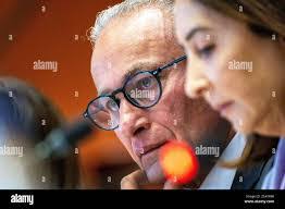 Elizabeth Nasser's Instagram, Twitter & Facebook