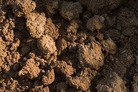 Effective pest control often depends on proper conditions at your home and effective moisture control. Friable Loam The Ideal Lawn Soil And How To Get It Lawnstarter