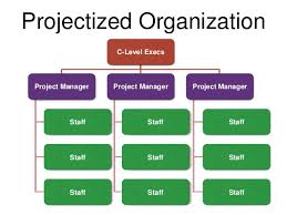 Project Management Organizational Structures