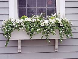 Window Box Ideas Hyannis Country Garden Window Box Flowers Window Box Window Boxes
