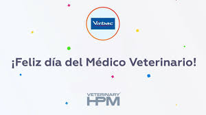 We need vets in our society to help save our animals. Feliz Dia Del Medico Veterinario Youtube