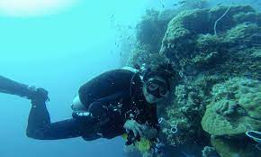 Everything is taken at your pace, we're not in dgr scuba diving's focus is on you and your comfort, we offer a personal service. Scuba Diving Blog Learn More About Scuba Diving Dan S Dive Shop
