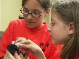 FETCH! With Ruff Ruffman