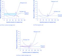 A perfectly competitive market is composed by price taking firms: Calculating Profits And Losses Microeconomics