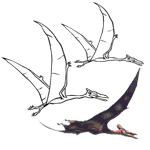 Children love to know how and why things wor. Dino Dan A 10 Year Old Boy With A Great Passion For Dinosaurs