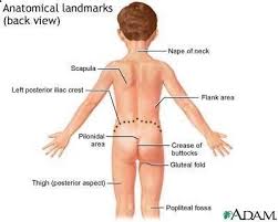 Pin On Medical Ideas