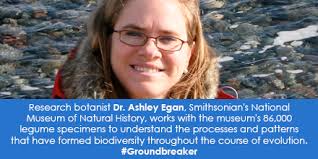 Posts tagged with: Transportation