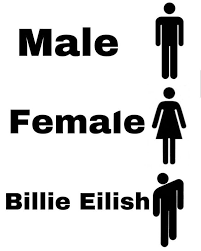 Please Follow Me Billie Billie Eilish Really Funny