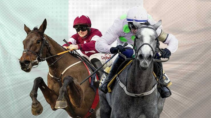 I was a snug winner the last day, even after doing the donkey work' -  Townend expects Lossiemouth to beat Brighterdaysahead again | Racing Post
