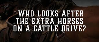 Every time you play fto's daily trivia game, a piece of plastic is removed from the ocean. The Ultimate Cowboy Quiz Insp Tv Tv Shows And Movies
