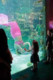 25 Free Things To Do In Las Vegas Las Vegas Travel Blog Las Vegas Trip Las Vegas Vacation Vegas Vacation