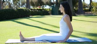 Dandasana is one of the easiest yet important asanas of yoga. Yoga Poses Staff Pose Dandasana Workout Trends
