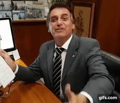 Resultado de imagem para bolsonaro arminha gif"