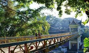 Kebun binatang dan museum budaya kinantan 4. 7 Tempat Wisata Di Bukittinggi Sumatera Barat Yang Unik Dan Bersejarah
