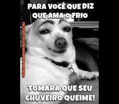 Jun 25, 2021 · cabo frio, na região dos lagos do rio, está sediando uma exposição com cerca de 200 cavalos mangalarga marchador até este sábado (26). 6 Memes Sobre Frio Com Os Quais O Campo Grandense Podera Se Identificar Jornal Midiamax