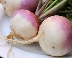 Image of Turnip vegetable