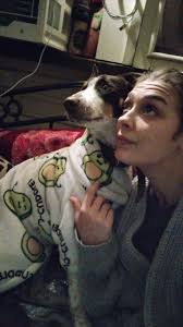 Why do kelpies lift a paw like they are asking for something?