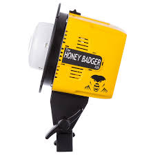 Interfit Usa Honey Badger 320ws 2 Light Kit