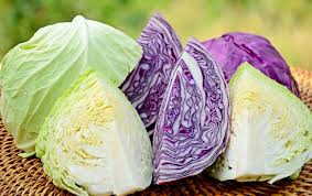 Diferenças entre o repolho roxo e repolho branco: veja quais são e aprenda  receitas deliciosas com esse vegetal - TudoGostoso