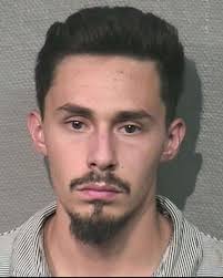 Gallery: HPD sex trade arrests for August 2018