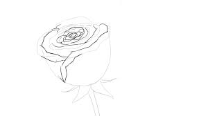 Dessin de manga facile etape par etape. Comment Dessiner Une Rose Dessindigo