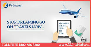 Search And Book Cheap One Way Round Trip Multi City Direct Non Stop Flights Ticket Visit Www Flightsbird Com Cheap Flights Air Tickets Cheap Air Tickets