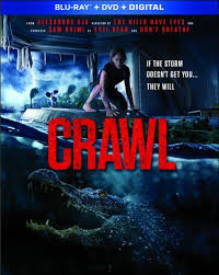 Submit a sitemap (many urls at once) a sitemap is an important way for google to discover urls on your site. Crawl 2019 Blu Ray Dvd Cede Ch