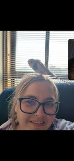 Lost budgie in Corio area?