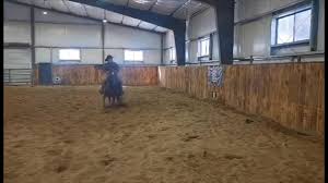 ✨2022 stallion for...