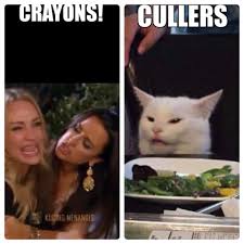 Crayons Vs Cullers Funny Cat Memes Funny Pictures Funny Photos