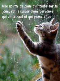 Pin On Products I Love