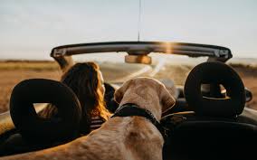 Outdoor travel #essentials #travel road trip essentials travel tips road trip. 8 Best Weekend Road Trips To Take This Summer Travel Leisure