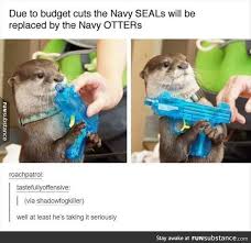 You Go Little Otter Funsubstance Cute Funny Animals Funny Animals Funny Animal Pictures
