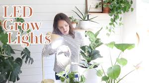 How to grow plants with grow lights. Led Grow Light Bulb House Plant Light How To Use Grow Lights With Indoor House Plants Youtube