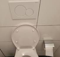 Why are there two buttons to flush the toilet? : r/germany
