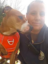 Introducing Hercules the Great Pyrenees puppy to new acreage with livestock