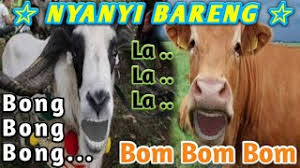 Dengan koleksi film porno kategori barat, jepang, jav, hentai, anime, kartun india, indonesia, korea, thailand yang sudah segini banyak kamu bisa tonton tanpa harus bayar ataupun daftar premium. Lucunya Sapi Kambing Nyanyi Bong Bong Lalala Song Youtube
