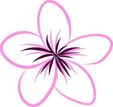 Drawing Tropical Plumeria Flowers Vector Flower Drawing Hawaiian Flower Drawing Hawaii Flowers Drawing