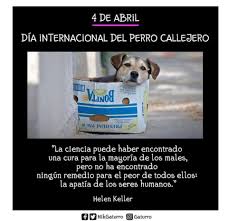 Se tratan de cuestiones ingeniosas y divertidas de distintos temas. Gaturro 4 De Abril Dia Internacional Del Perro Callejero Facebook