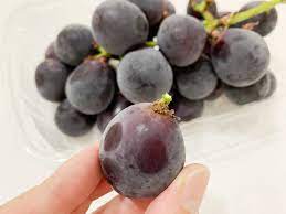 5万リツイート ぶどう農家直伝の ぶどうを長持ちさせる方法 を実際にやってみた 比較実験の結果公開 ぶどう 長持ち 農家