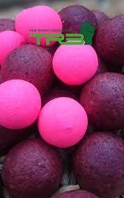 Triple 8 Tive Top Boilie With Pre Digested Liver Added For Superior Attraction A Liver Boilie Who Has No Equal Made With 9 Fish Fish Recipes Different Fish