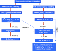 Image result for Small Intestinal Bleeding