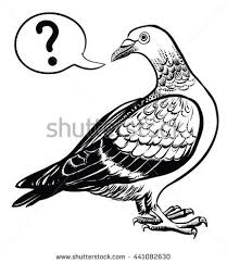 Black And White Pigeon Drawing Black And White Pigeon Dove Drawing By Stylized Line With The Sign Of Question