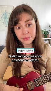 Un pays sans RN : imaginer un monde parfait