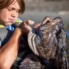 Captain Quinn (@thecaptainquinn) • Instagram photos and videos