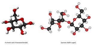 1g of table sugar converts to 0.5g of blood sugar in the short term, from the glucose half of the sugar, because the fructose half of the sugar goes to the liver to be processed. Carbohydrates Unbelievable Facts About Carbohydrates Blog Jake